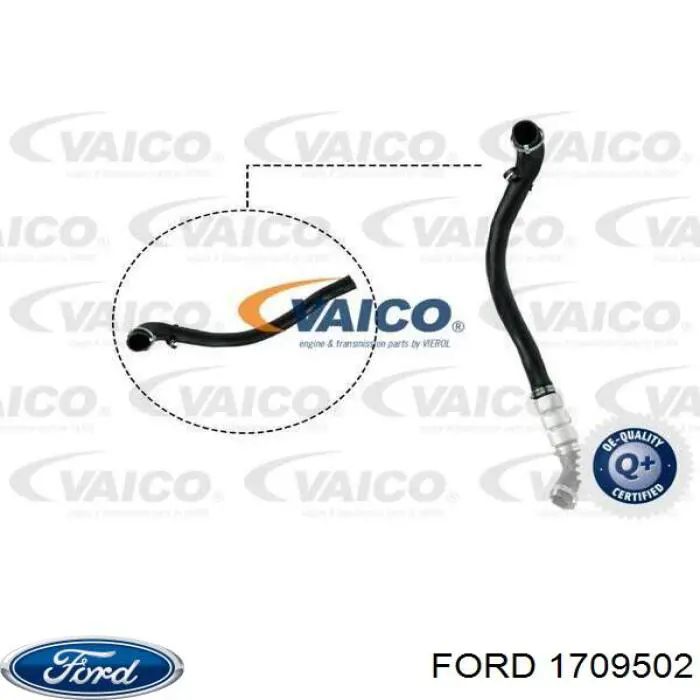 1709502 Ford Mangueira (cano derivado) de intercooler