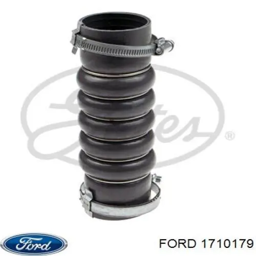 1710179 Ford Mangueira (cano derivado) de intercooler