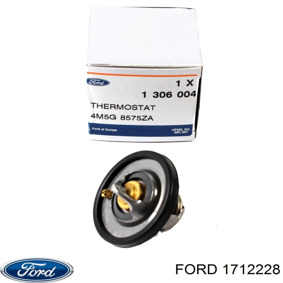 1712228 Ford Termostato