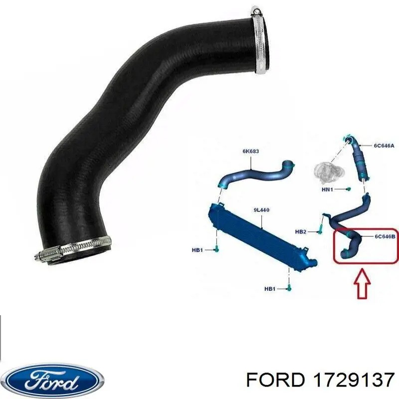 1729137 Ford Mangueira (cano derivado) de intercooler