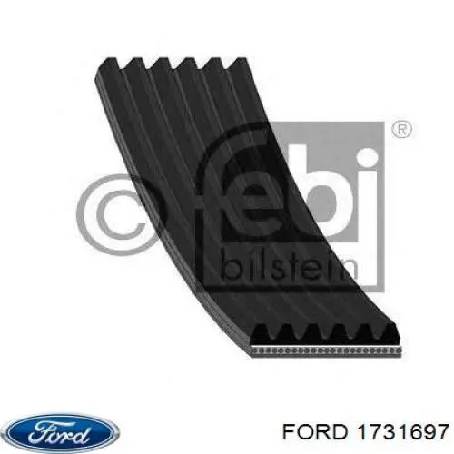 1731697 Ford Correia dos conjuntos de transmissão