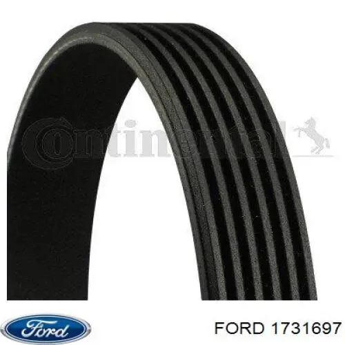 Correia dos conjuntos de transmissão Ford 1731697 preço, a partir de 13,85 USD