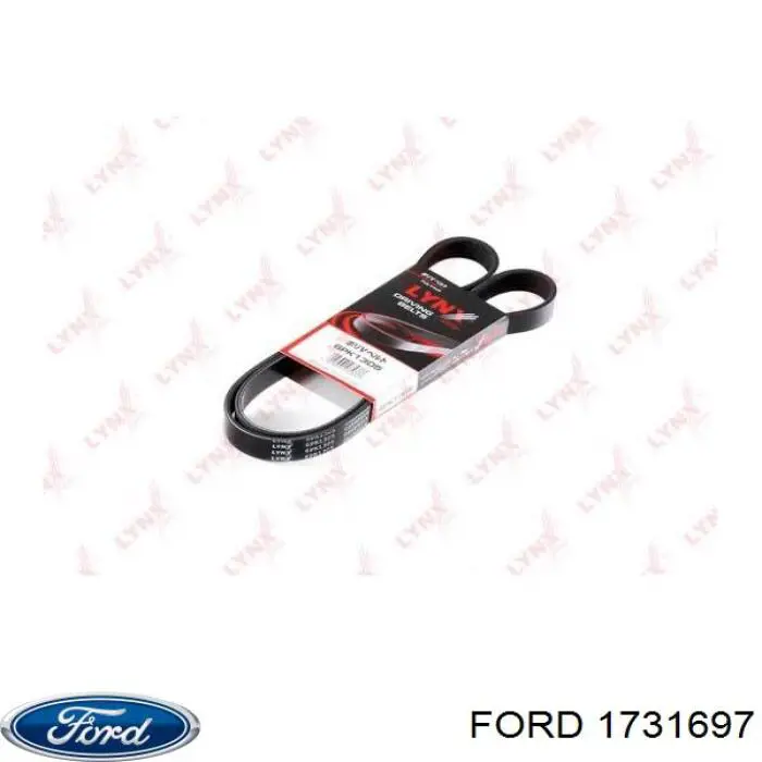 Compre 1731697 Ford Correia dos conjuntos de transmissão