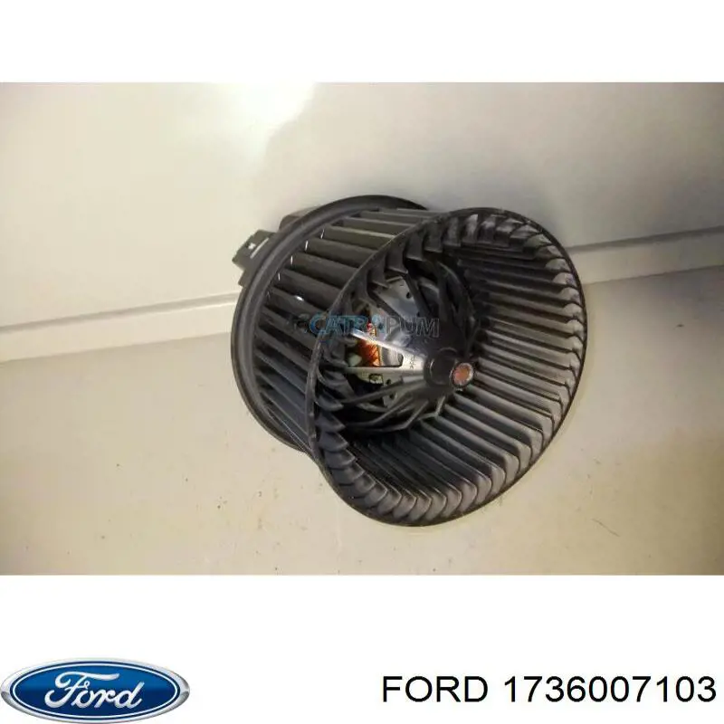 1736007103 Ford 