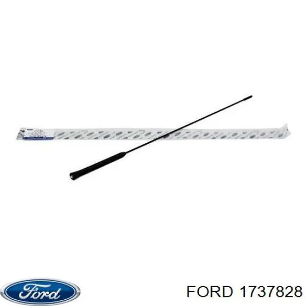 1013066 Ford Haste de antena