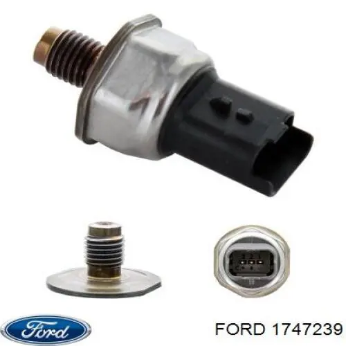 1747239 Ford Distribuidor de combustível (rampa)