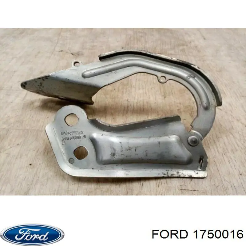 1750016 Ford Gozno da capota direito