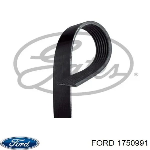 Correia dos conjuntos de transmissão Ford 1750991 preço, a partir de 29,00 USD