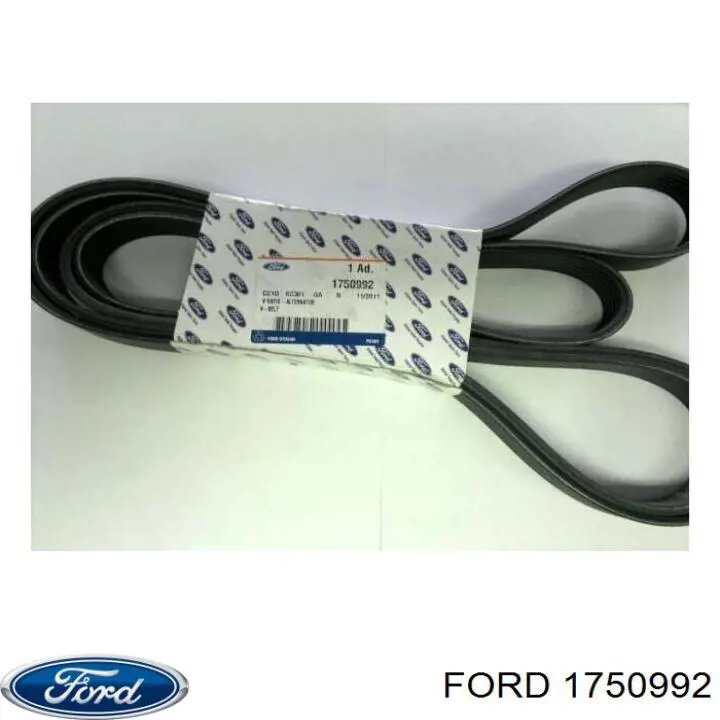 Correia dos conjuntos de transmissão Ford 1750992 preço, a partir de 54,70 USD