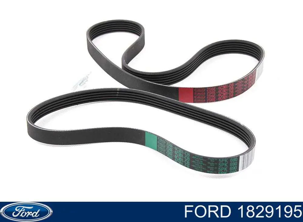 1829195 Ford Correia dos conjuntos de transmissão, kit