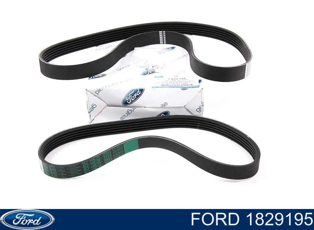 Compre 1829195 Ford Correia dos conjuntos de transmissão, kit