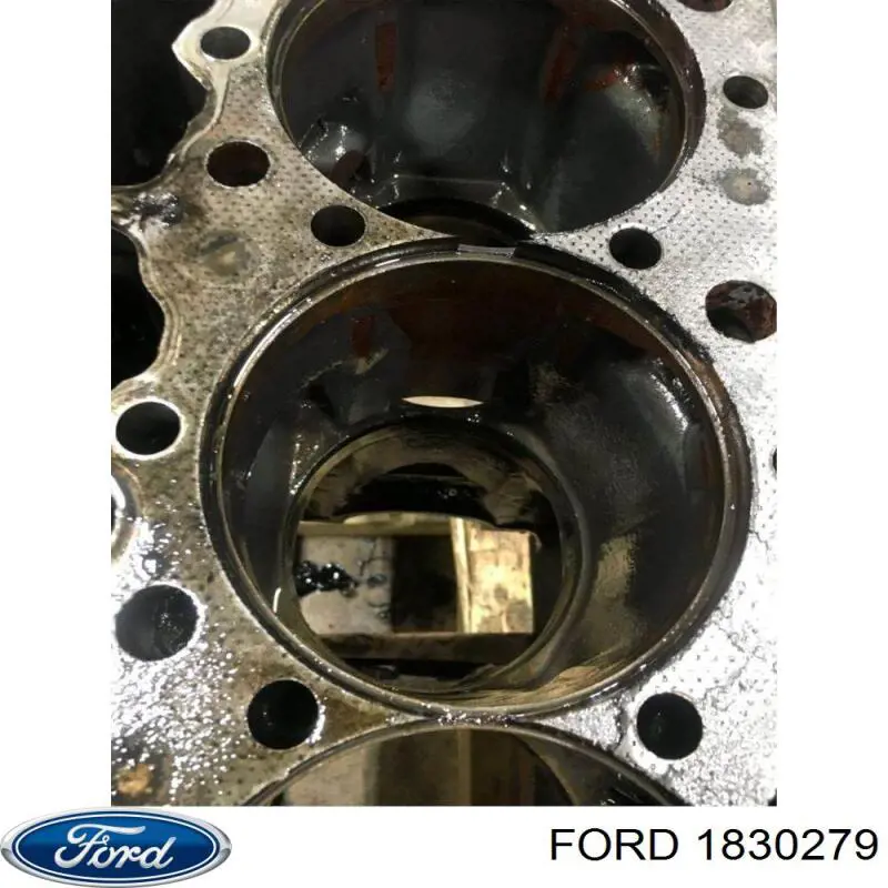 Compre 1830279 Ford 