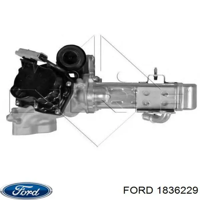 Compre 1836229 Ford Válvula EGR de recirculação dos gases