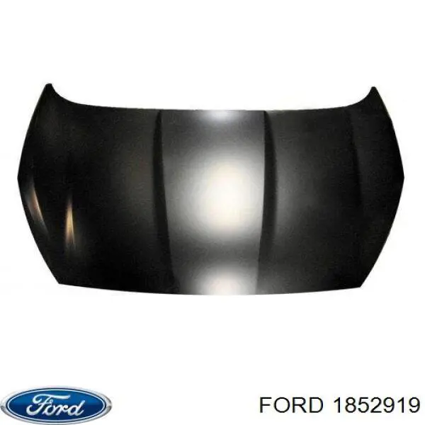 1852919 Ford Capota