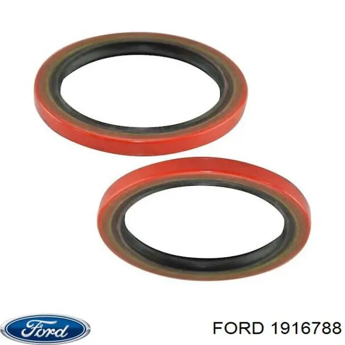 2021180 Ford Cano derivado de ar