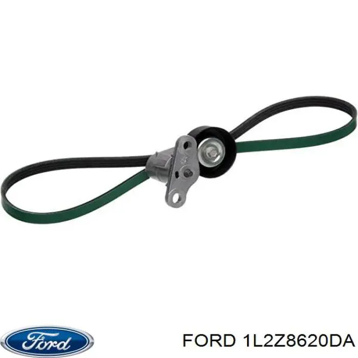  Correia dos conjuntos de transmissão Ford Explorer SUV (2001 - 2005) 