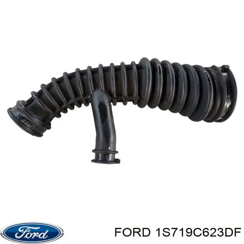 1S719C623DF Ford Cano derivado de ar, saída de filtro de ar
