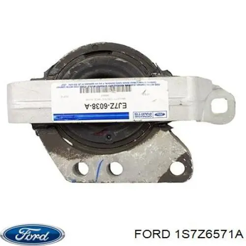 1S7Z6571A Ford Vedação de válvula (de óleo) de escape