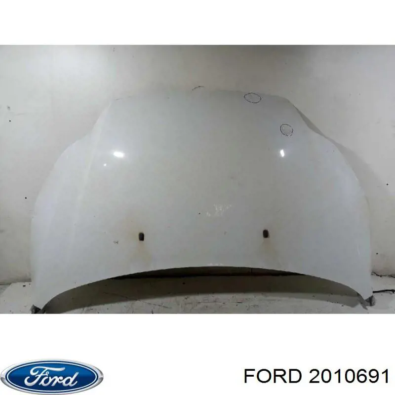 2010691 Ford Tanque de fluido para lavador de vidro