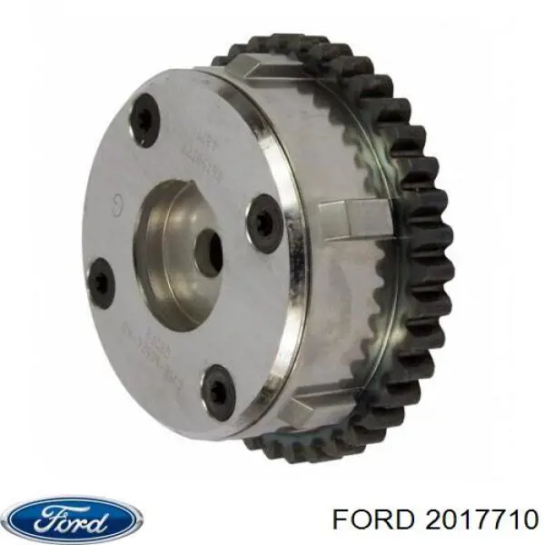 Compre JDE34815 Jaguar Engrenagem de cadeia de roda dentada da árvore distribuidora de admissão de motor
