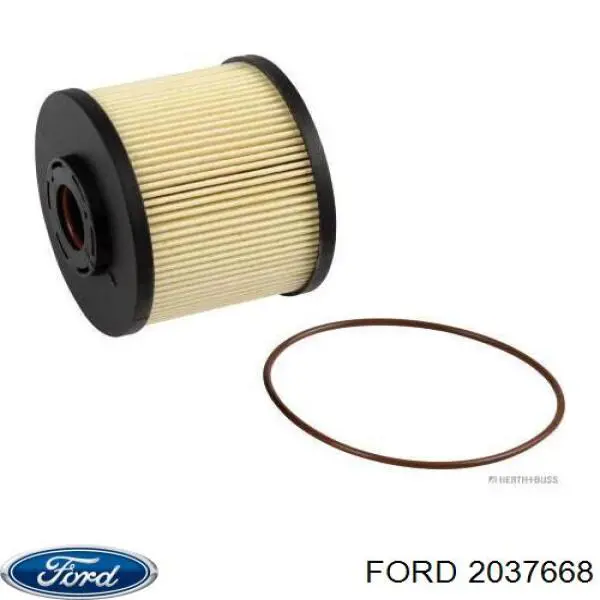 Compre 2037668 Ford Filtro de combustível