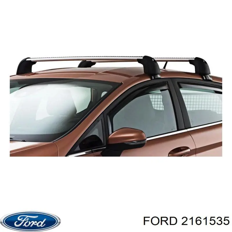 Compre 2161535 Ford Protetores de lama traseiros, kit