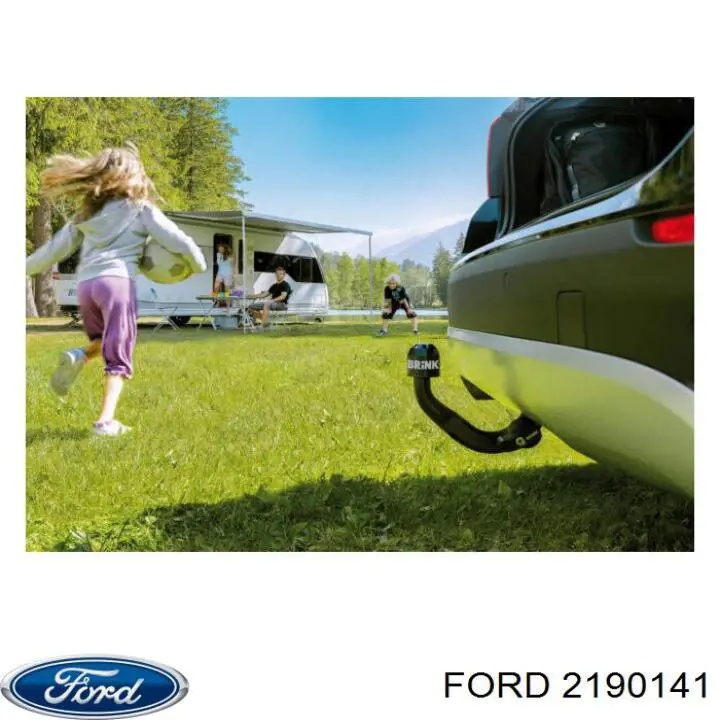 2190141 Ford Válvula de admissão