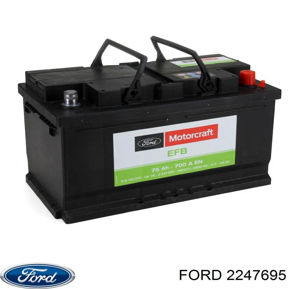 Compre DE75EFB Duracell Bateria recarregável (PILHA)