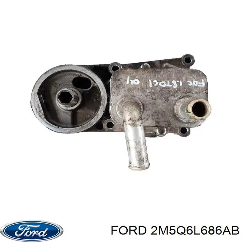2M5Q6L686AB Ford 