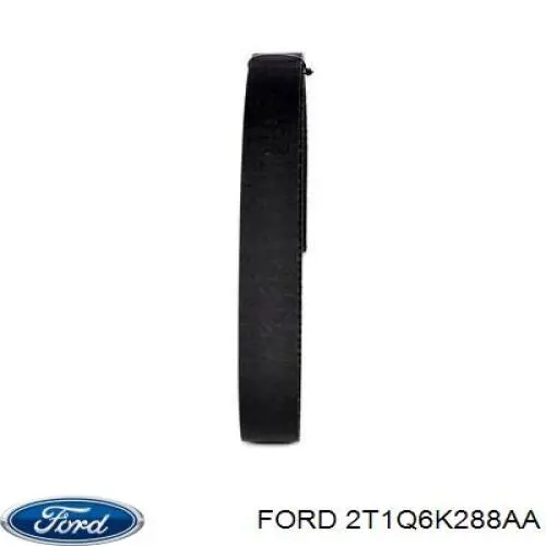 Compre 2T1Q6K288AA Ford Correia do mecanismo de distribuição de gás