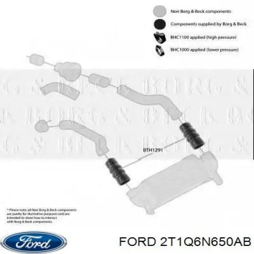 Compre 2T1Q6N650AB Ford Mangueira (cano derivado) de intercooler