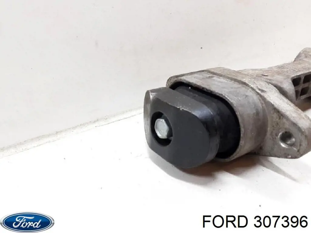  Ford 307396