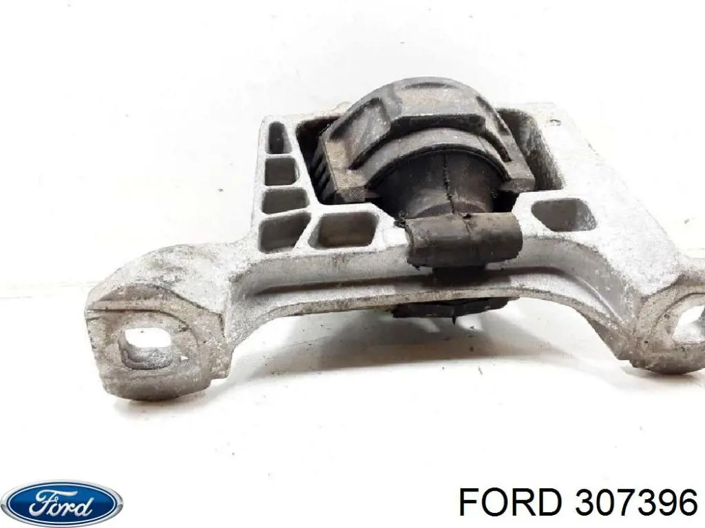 Compre 307396 Ford 