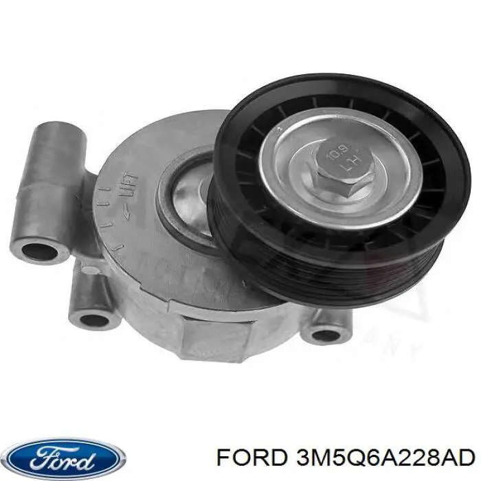 Compre 3M5Q6A228AD Ford Reguladora de tensão da correia de transmissão