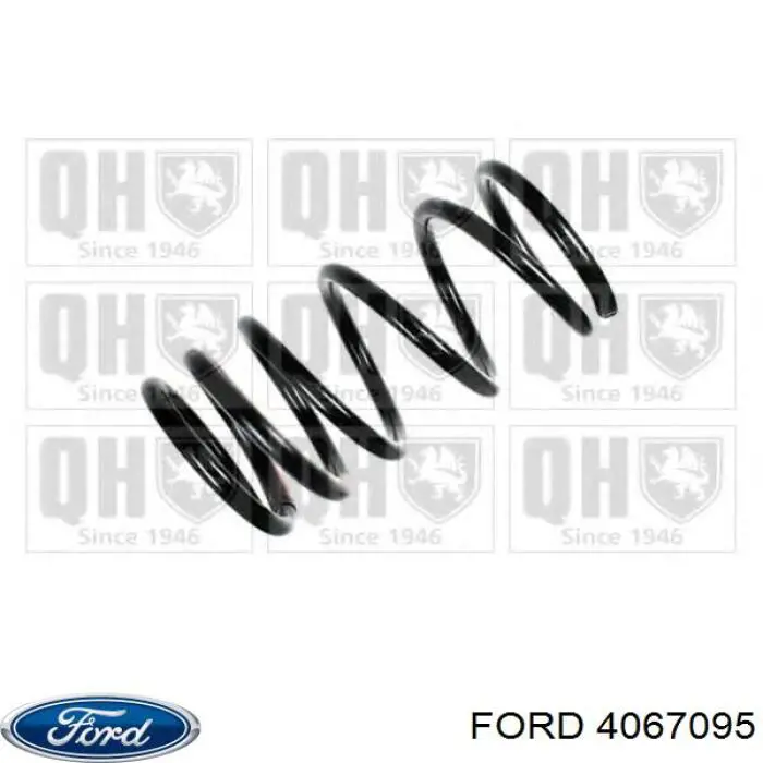 4067095 Ford Mola dianteira