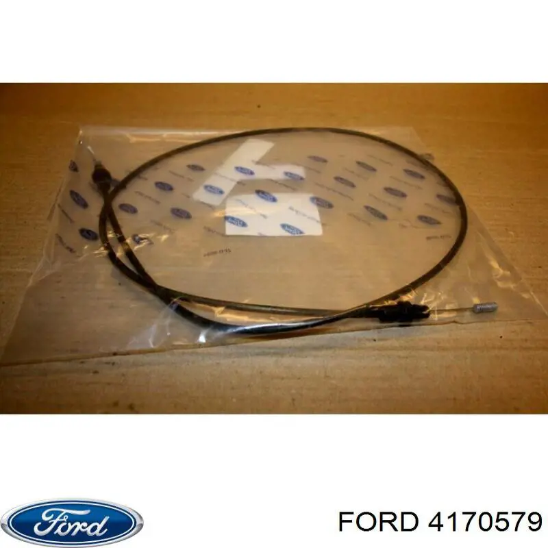 Compre 4170579 Ford Cabo de abertura da porta lateral (deslizante)