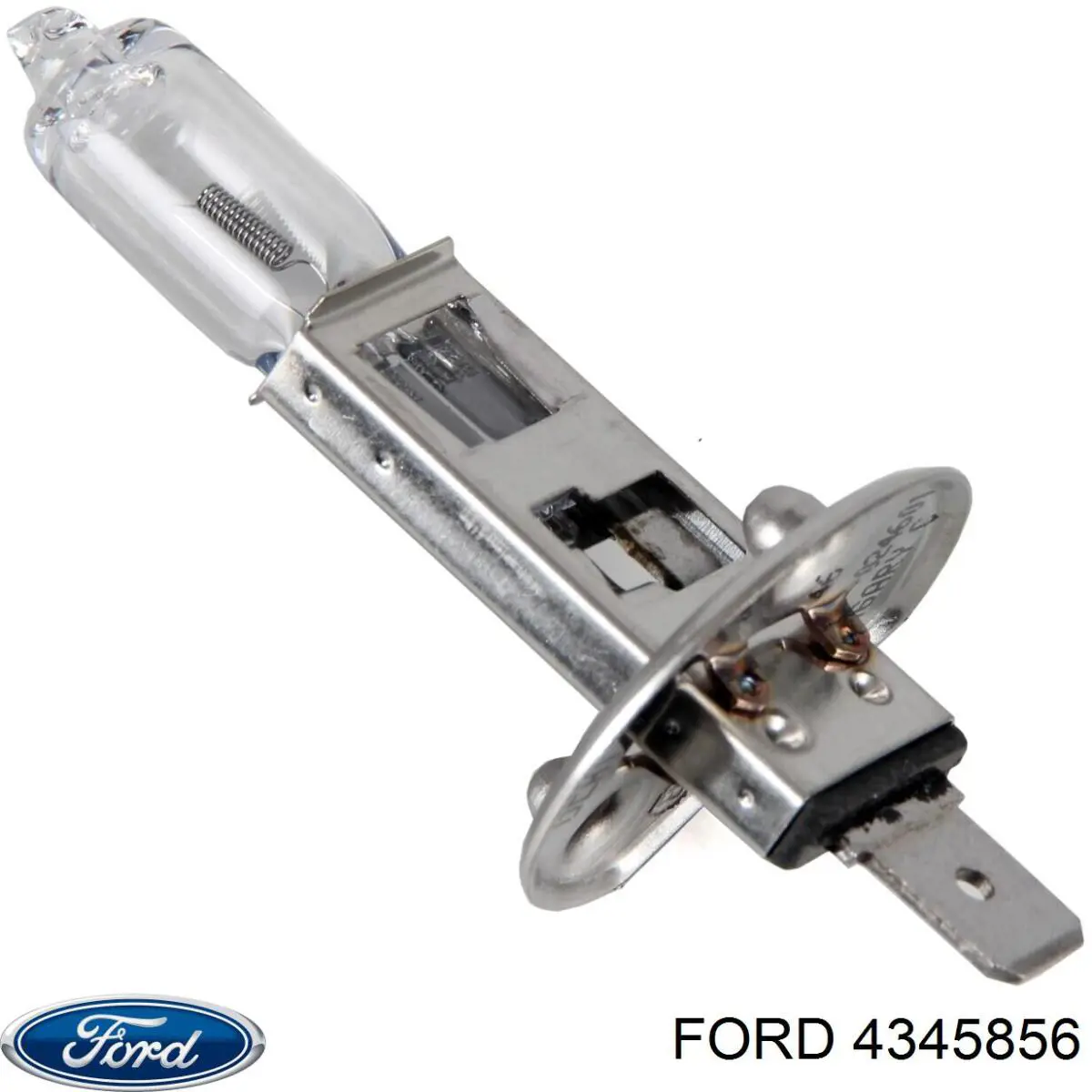 Compre 4345856 Ford Lâmpada halógena