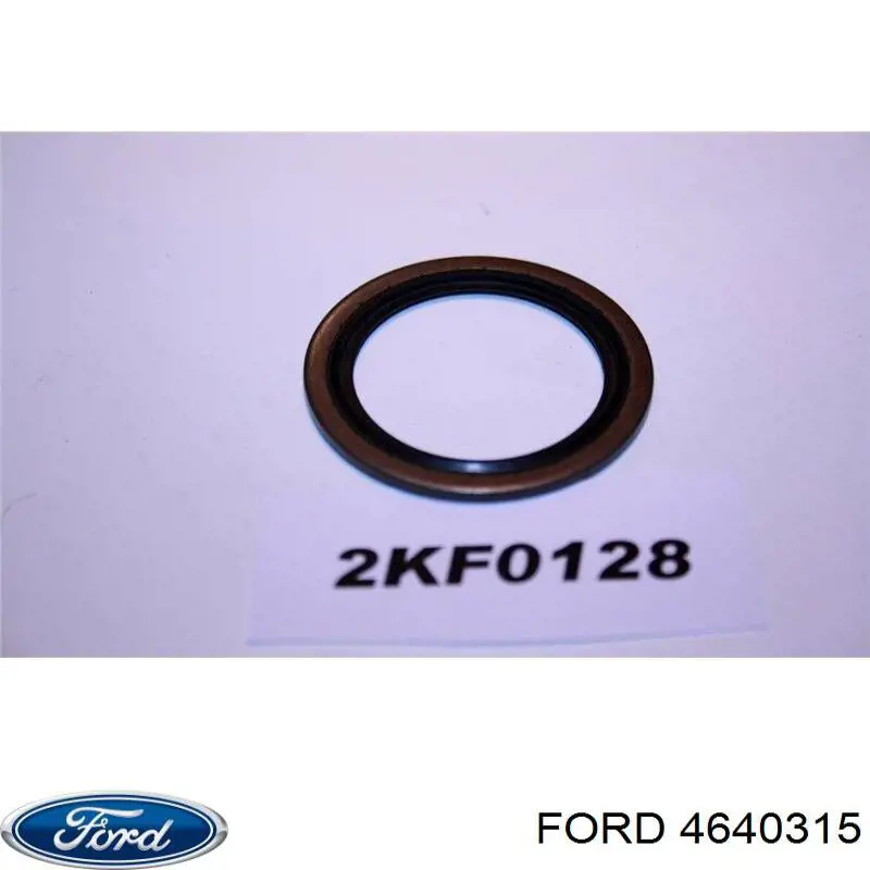 4640315 Ford 