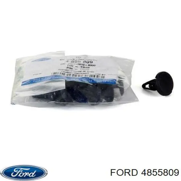 4855809 Ford Cápsula (prendedor) de fixação do pára-choque dianteiro
