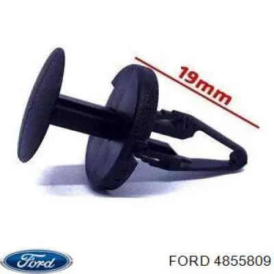 Cápsula (prendedor) de fixação do pára-choque dianteiro Ford 4855809 preço, a partir de 0,56 USD