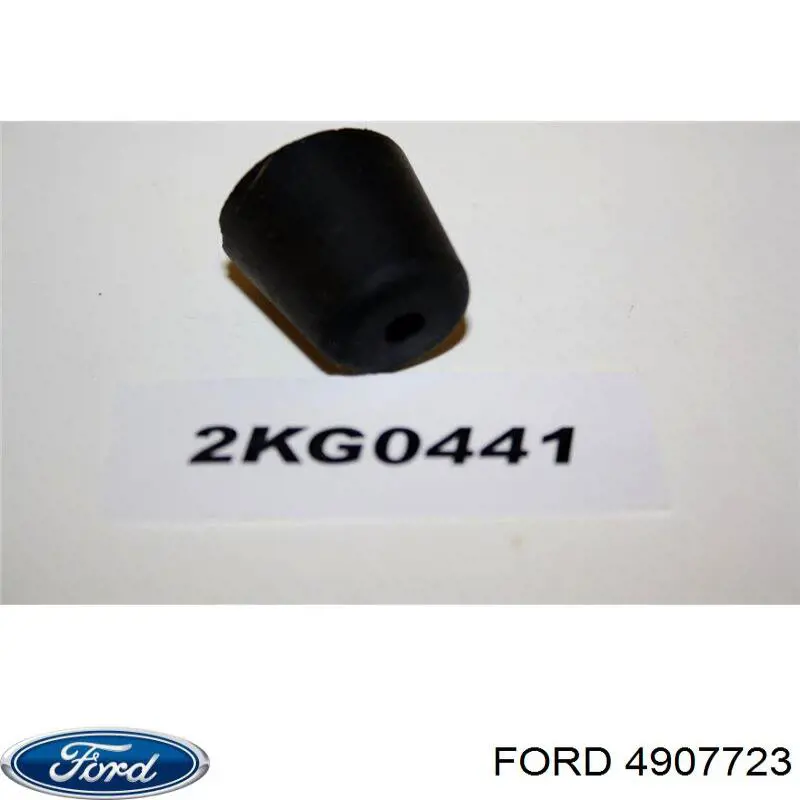 4907723 Ford Grade de proteção de portas