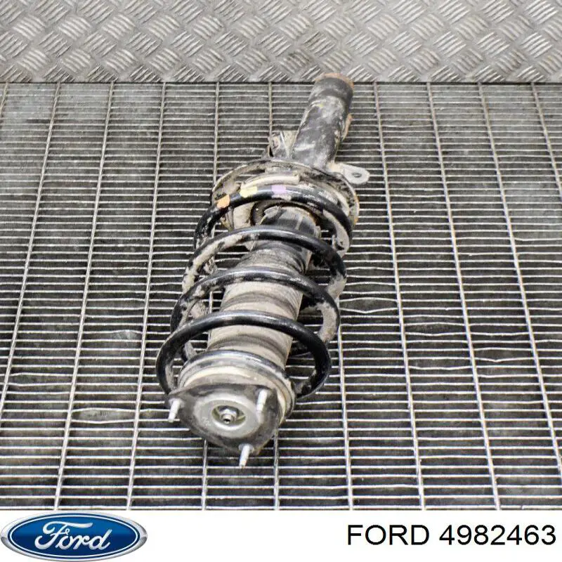 Compre 4982463 Ford Espelho de retrovisão