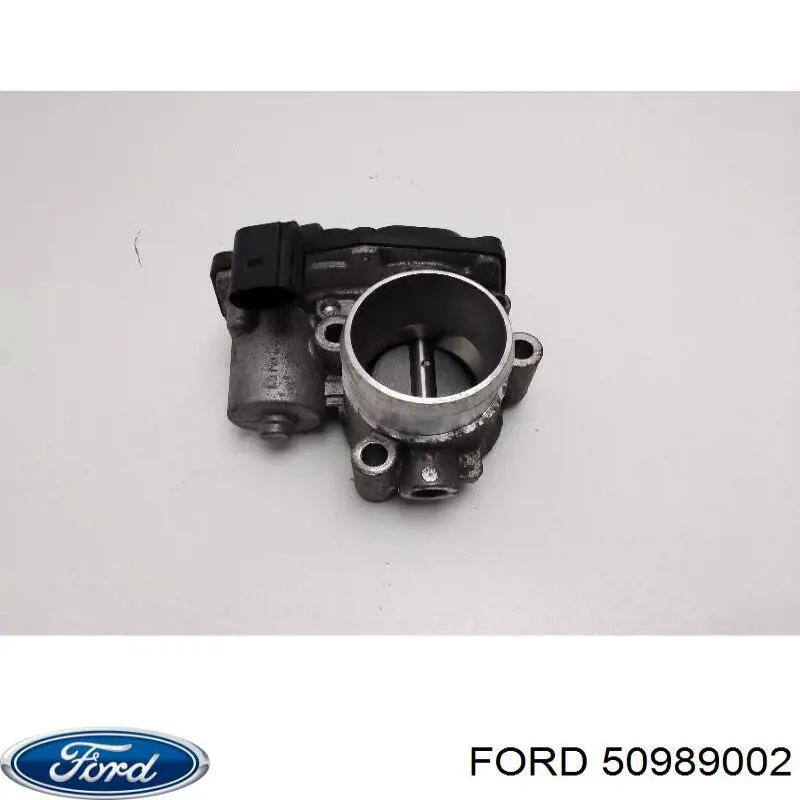 50989002 Ford Tanque de combustível