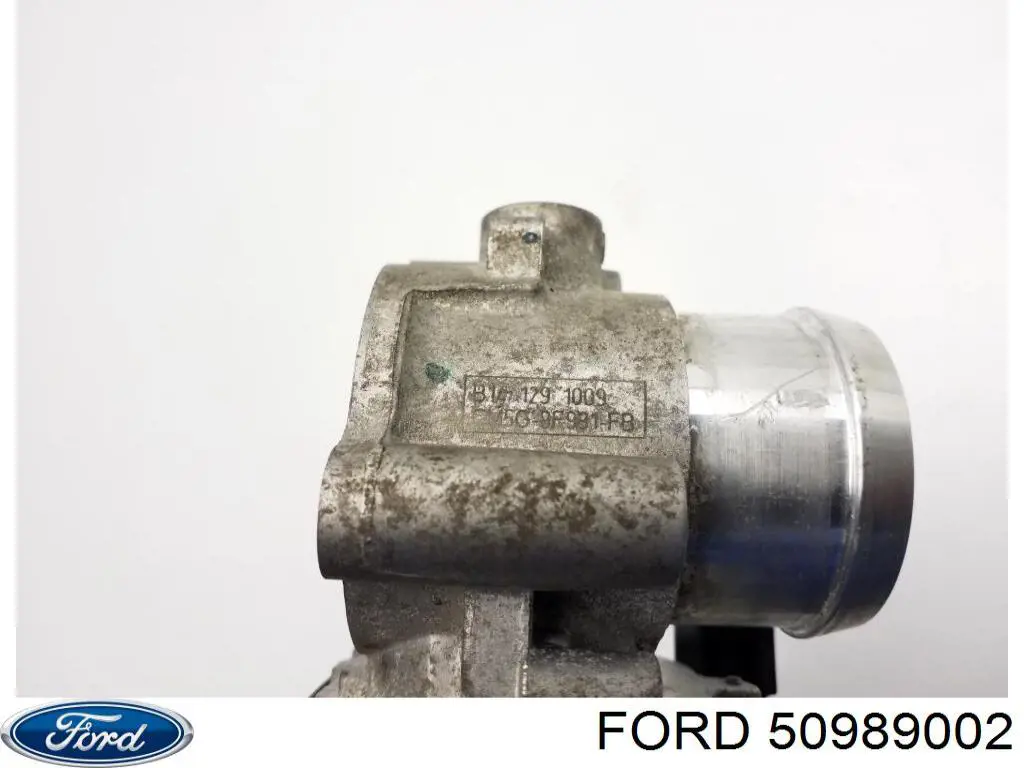 Compre 50989002 Ford Tanque de combustível