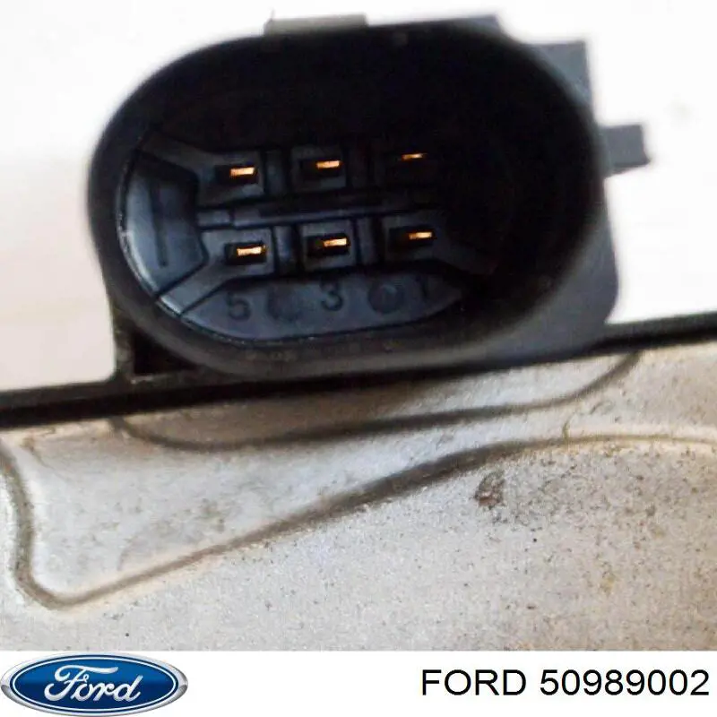 50989002 Ford Tanque de combustível