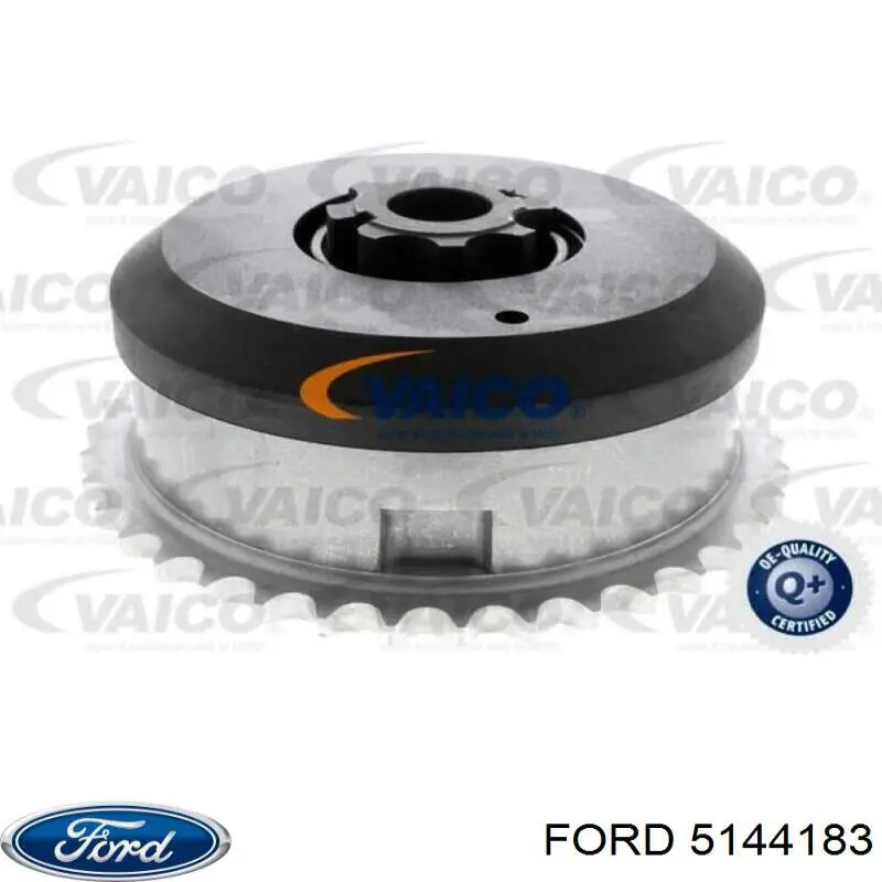 Compre JDE34815 Jaguar Engrenagem de cadeia de roda dentada da árvore distribuidora de admissão de motor