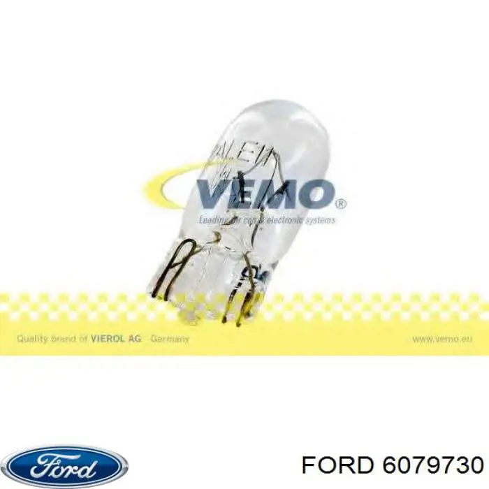6079730 Ford Lâmpada