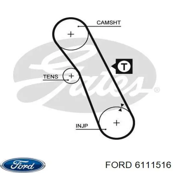 Compre 6111516 Ford Correia do mecanismo de distribuição de gás