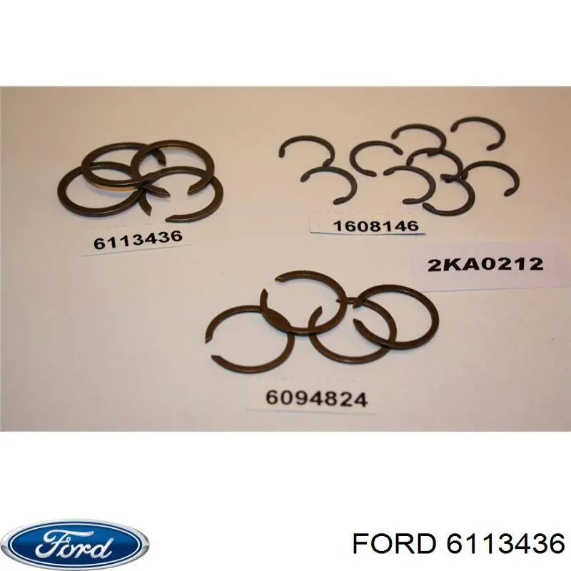 6113436 Ford 