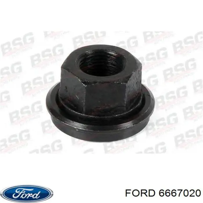 Compre 6667020 Ford Porca de roda
